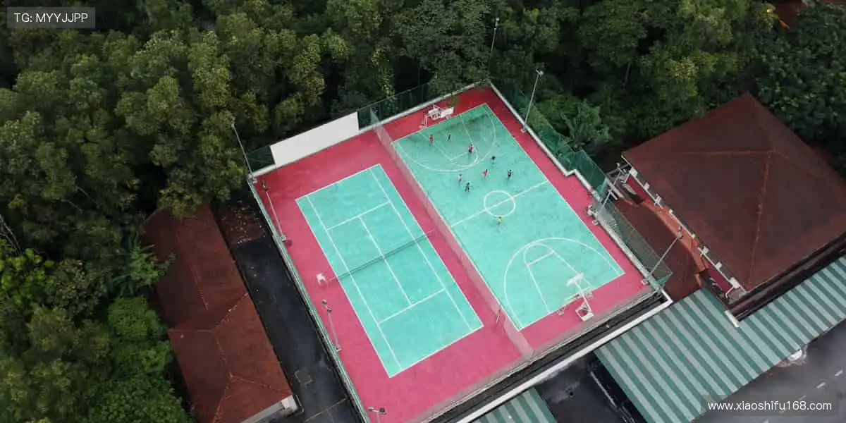 🔥 每一场赛事,都是热血的碰撞!立即加入,见证巅峰对决⚽️🏀